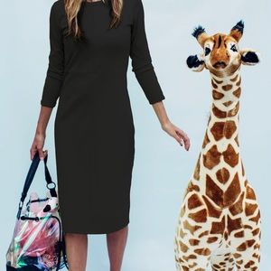 Sonnet James Winnie Dress in Black M